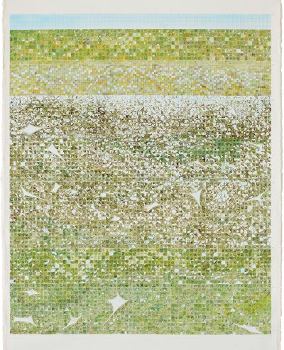 박형진, 호두나무 August to September, 180x145cm, 캔버스 위에 연필 아크릴물감, 2024
