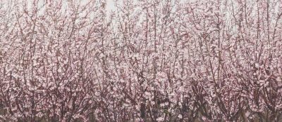 허보리_250314_01_255 복사
