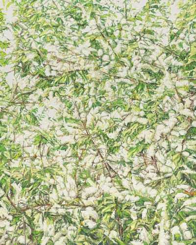 허보리_250429_05_255